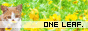 one leaf.`Âꂽt`